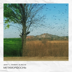 Обкладинка: метаморфосінь