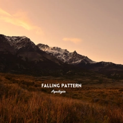 Обкладинка: Falling Pattern