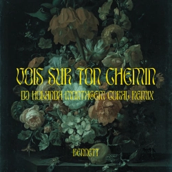 Обкладинка: Vois sur ton chemin - DJ Holanda MONTAGEM CORAL Remix