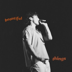 Обкладинка: Beautiful Things