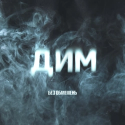 Обкладинка: ДИМ
