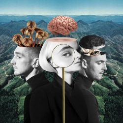 Обкладинка треку: Symphony (feat Zara Larsson) Обкладинка: Symphony (feat Zara Larsson)