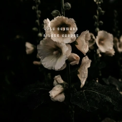 Обкладинка: Silent Garden