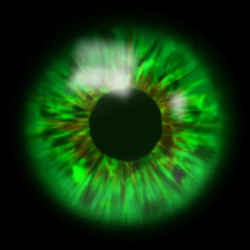 Обкладинка: Green Eyes (Please Don't Cry)