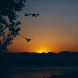 Обкладинка: Summer Dream