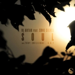 Обкладинка: Soul - Sat Remix