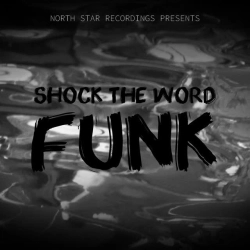 Обкладинка: shock the word funk - sped up