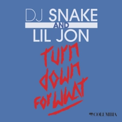 Обкладинка треку: Turn Down for What Обкладинка: Turn Down for What