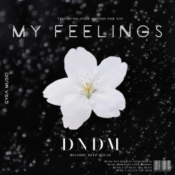 Обкладинка: My Feelings