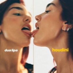 Обкладинка: Houdini