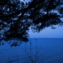 Обкладинка: Your Gaze Touches My Body - New Version