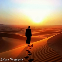 Обкладинка: The Lonely Wanderer