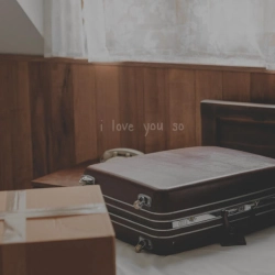 Обкладинка: putting a spin on i love you so