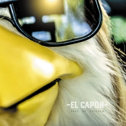 Обкладинка треку: Shut Up Chicken - Radio Edit Обкладинка: Shut Up Chicken - Radio Edit