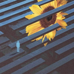 Обкладинка: Dissolve