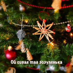 Обкладинка: Oi Syvaia Taia Zozulenka