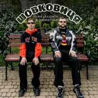 Обкладинка: Шовковиця