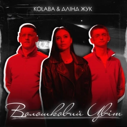 Обкладинка: Волошковий цвіт