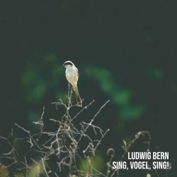 Обкладинка: Sing, Vogel, Sing!