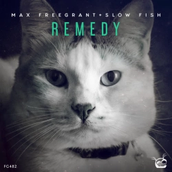 Обкладинка: Remedy