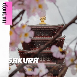 Обкладинка: Sakura