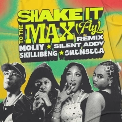 Обкладинка треку: Shake It To The Max (FLY) - Remix Обкладинка: Shake It To The Max (FLY) - Remix