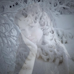 Обкладинка: Winter´s Spell