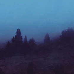 Обкладинка треку: Hide Away Обкладинка: Hide Away