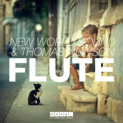 Обкладинка треку: Flute Обкладинка: Flute