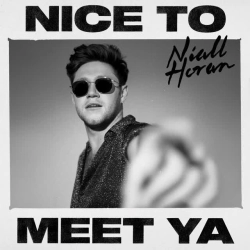 Обкладинка треку: Nice To Meet Ya Обкладинка: Nice To Meet Ya