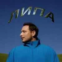 Обкладинка: Липа