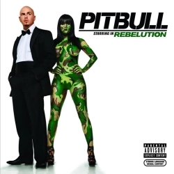 Обкладинка: I Know You Want Me (Calle Ocho)
