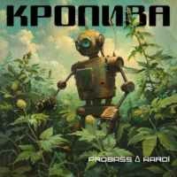 Фото виконавця Probass & Hardi