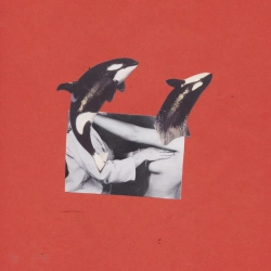 Обкладинка: Nothing
