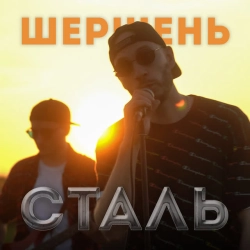 Обкладинка: Сталь