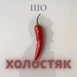 Обкладинка: Шо холостяк
