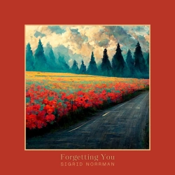 Обкладинка: Forgetting You