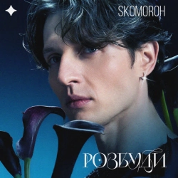 Обкладинка: Розбуди