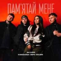Обкладинка: Памʼятай мене