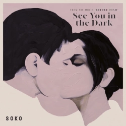Обкладинка: See You in the Dark - From 'Little Fish' Soundtrack