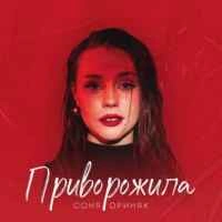 Обкладинка: Приворожила