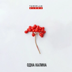 Обкладинка: Одна калина
