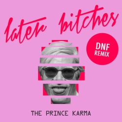 Обкладинка: Later Bitches - DNF Remix