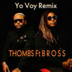 Обкладинка: Yo Voy (Remix)