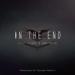 Обкладинка: In The End