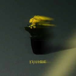 Обкладинка: Каланхое