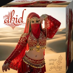 Обкладинка: Ahid (no time to carry on)