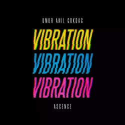 Обкладинка: VIBRATION