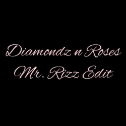 Обкладинка треку: Diamondz n Roses - Mr Rizz Edit Обкладинка: Diamondz n Roses - Mr Rizz Edit