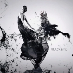 Обкладинка: Black Bird